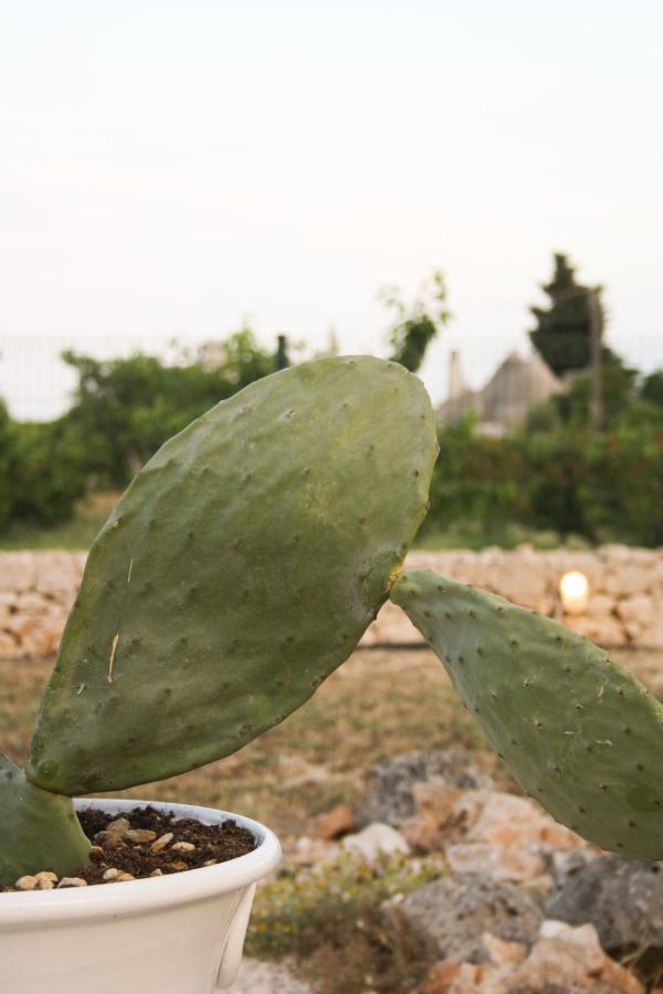 Вилла Enjoytrulli - Countryside Ночи Экстерьер фото