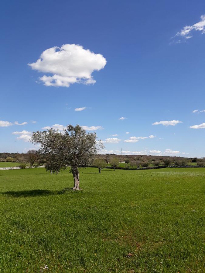 Вилла Enjoytrulli - Countryside Ночи Экстерьер фото